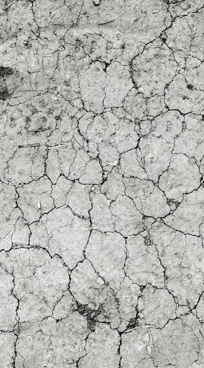 Proper soil preparation is vital for container gardening success.