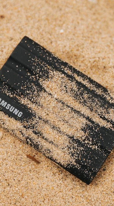 Germinating radish seeds for a bountiful harvest.