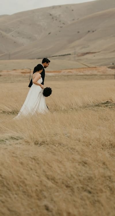 Proper watering is crucial for healthy radish growth.
