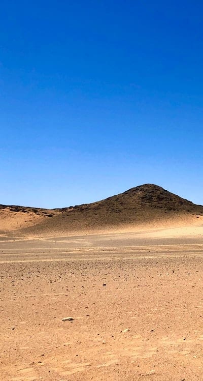 Carefully watering the growing seedlings for optimal growth.