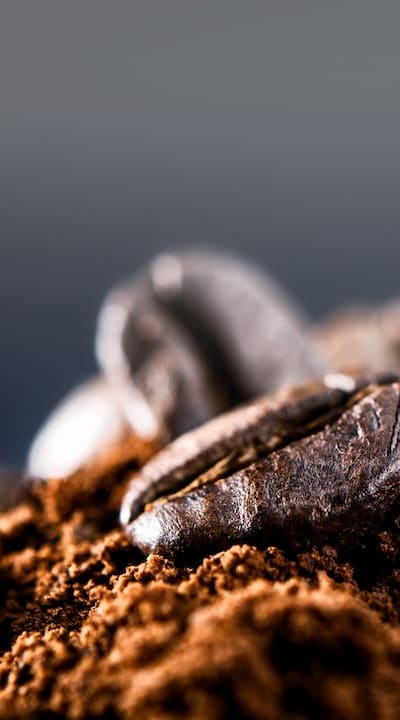 Monitoring soil moisture for watering germinating seeds.