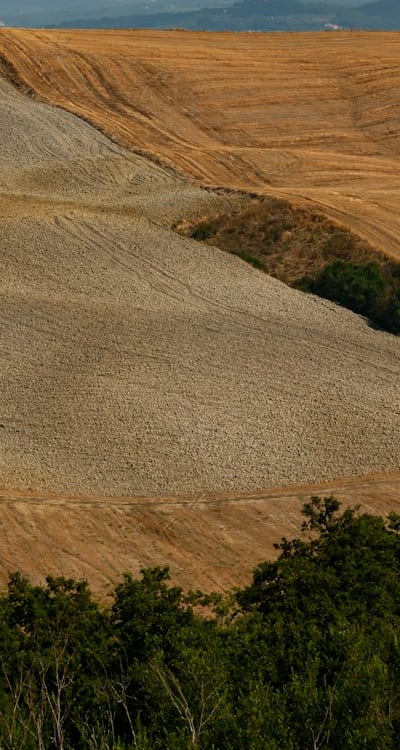 Planting seeds at the right depth for successful germination.