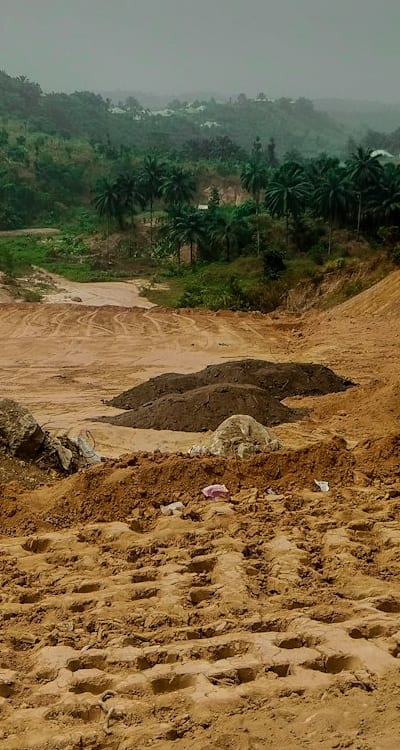 Planting seeds for successful germination in garden.