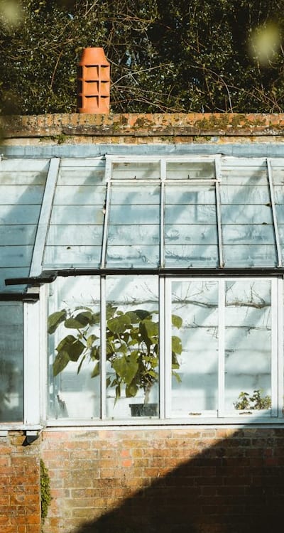 Moisture, Drainage, Root rot, Plant diseases, Organic matter, Compost, Manure, Perlite, Sand