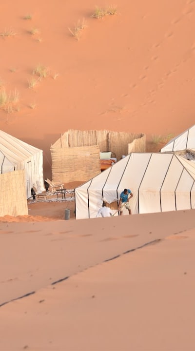 Garden Fork or Tiller, Compost