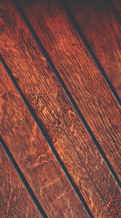 Mulching seedlings with organic materials for moisture retention and weed suppression.