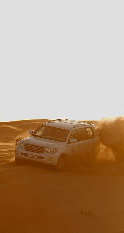 Watering tomato seedlings to prevent diseases