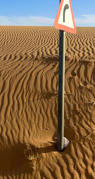 Tomato seedling being watered with caution.