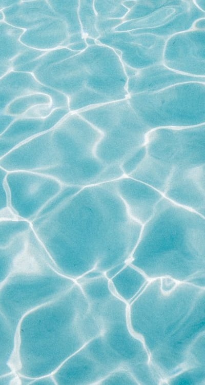 Organic seeds promote environmental sustainability and ecological balance.