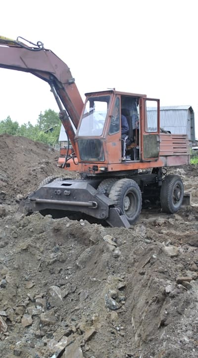 Watering wildflower seedlings promotes root development and hydration.