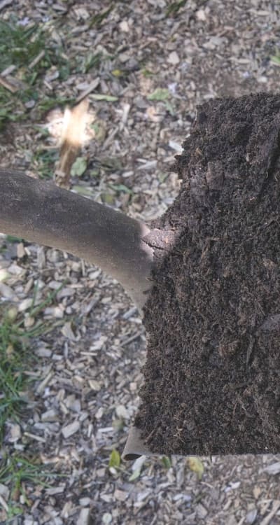 Garden, Wildflower seeds and soil