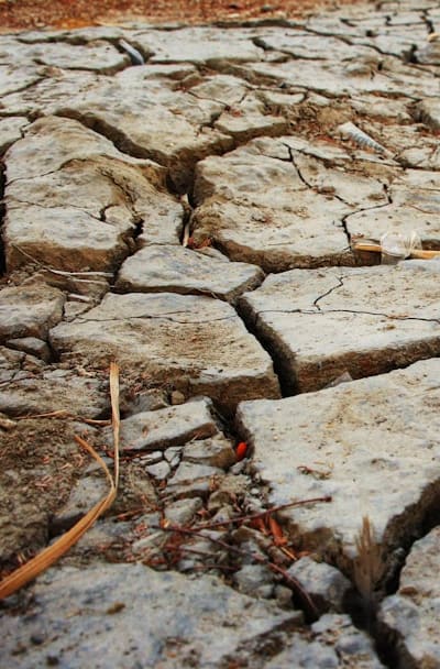 Conducting a soil test for successful wildflower gardening.
