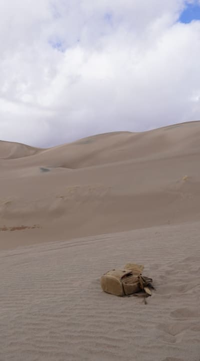 Monitoring and controlling moisture levels for healthy zucchini seedlings.