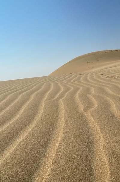 Overwatering zucchini seedlings can harm their growth.