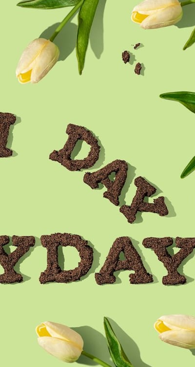 Preparing the soil for planting bush beans