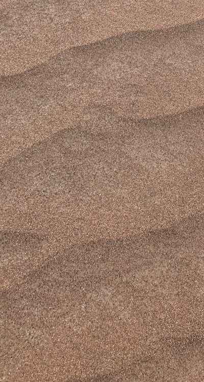 Preparing soil with compost for perennial flower seeds