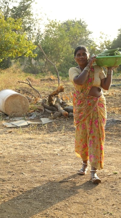 Adding organic matter to improve soil fertility.