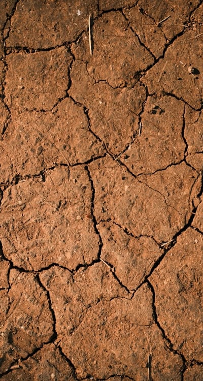 Preparing fertile soil for organic seed growth.
