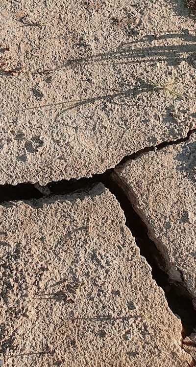 Alt text phrase: Organic perennial flower seed starting soil ingredients