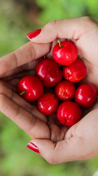 Proper fertilization for healthy rare fruit seedlings