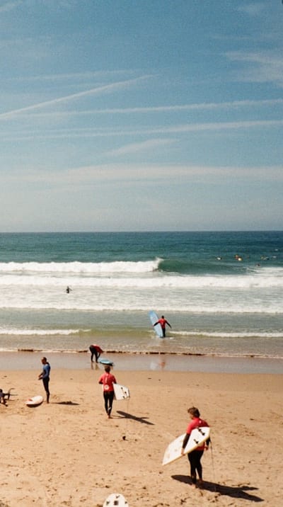 Optimizing soil pH for healthy herb seedlings.