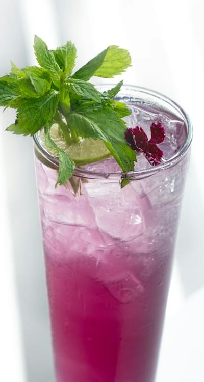 Herb seedlings in planting area