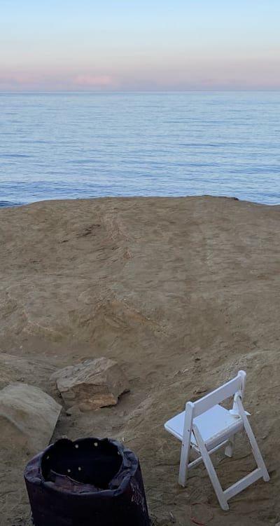 Essential steps for successful perennial flower seed germination.