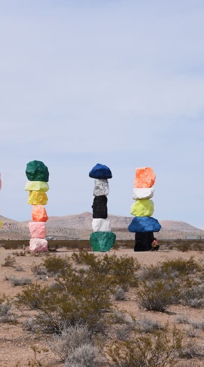 Choosing the right organic seedling soil for your garden.