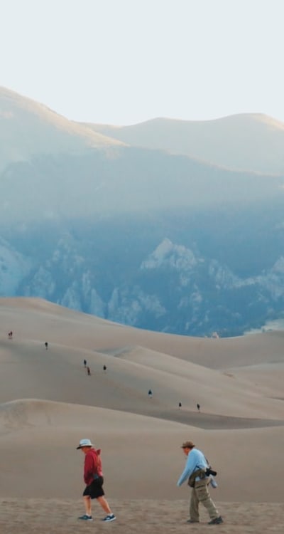 Alt text: A bag of organic seedling soil for home gardening.