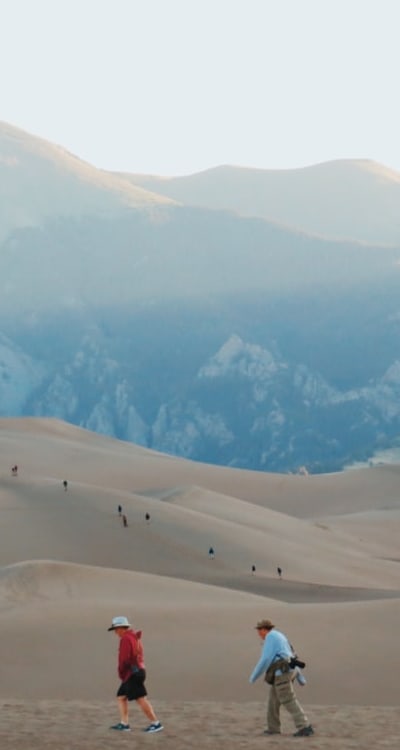 A clear field ready for sowing wildflowers