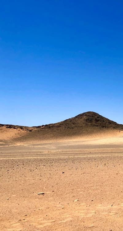 Preparing the soil for wildflower seed propagation