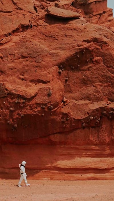 Proper seed spacing for healthy lettuce seedlings.