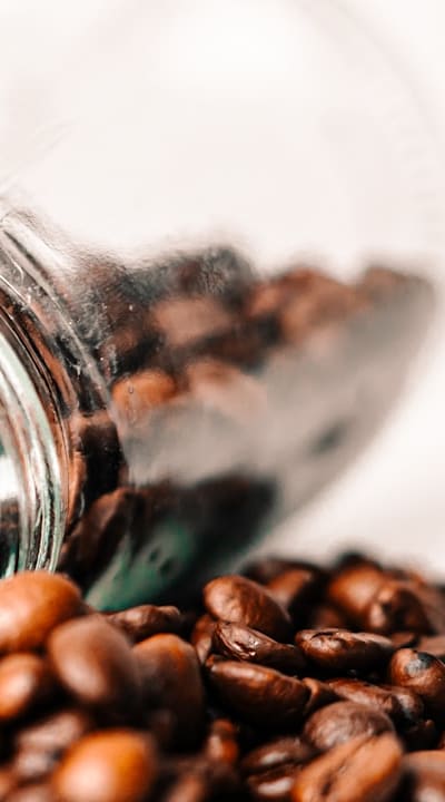 Proper spacing is crucial for successful companion planting.