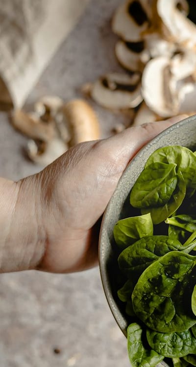 Harvest-ready spinach with large, tender leaves