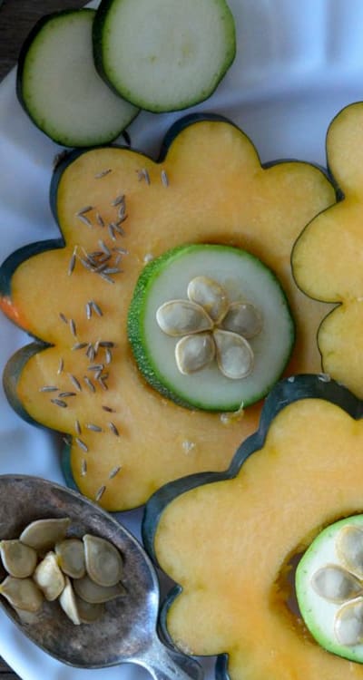 Timing is crucial for sowing squash seeds.