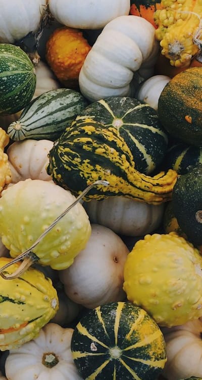 Recommended squash seed planting depths for various varieties
