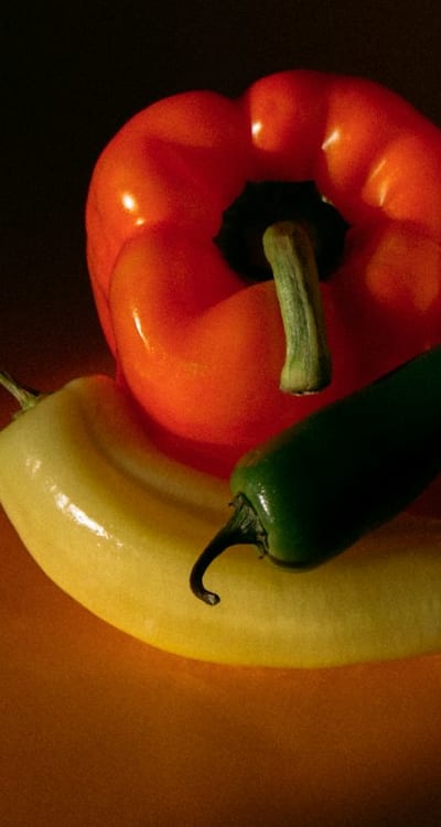 A close-up of a squash vine borer moth