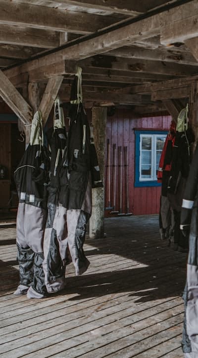 Staking tall snapdragons for support and stability.