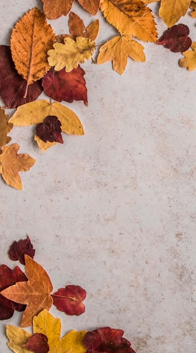 Mulching helps retain moisture and control soil temperature.