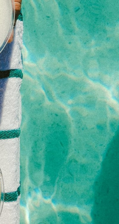 Vibrant summer flowers attract pollinators to the garden.