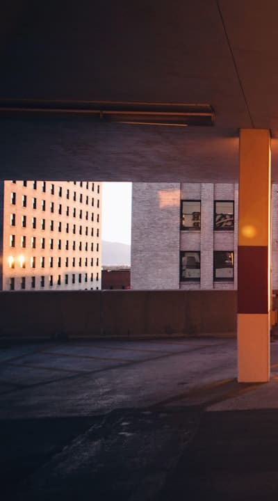 Importance of Sunlight for Healthy Seedling Growth