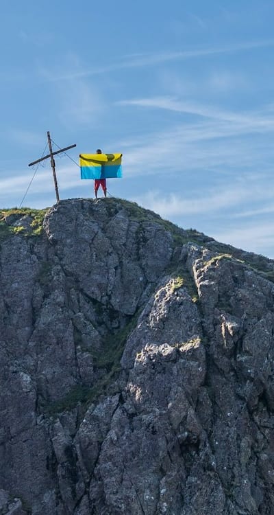 Swiss chard, Seedlings
