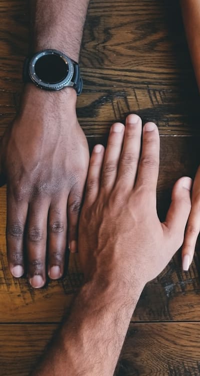 A trellis supporting climbing plants in a garden