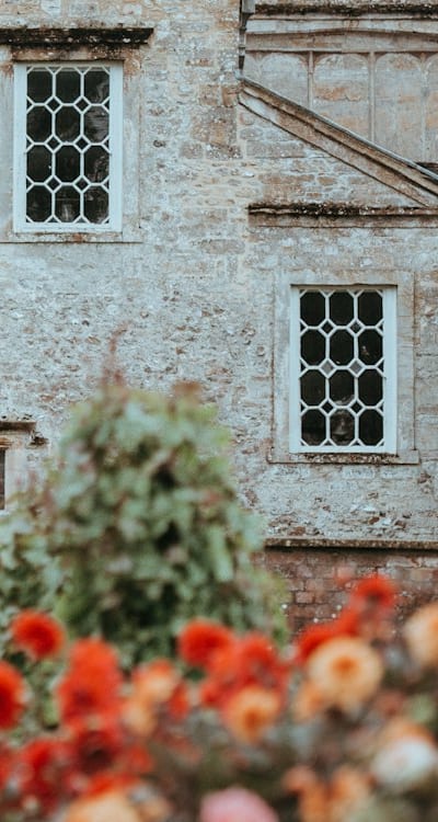 Properly storing Swiss chard in the refrigerator.