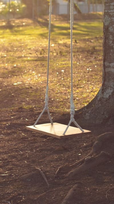 Tips for creating an ideal growing environment for Swiss chard