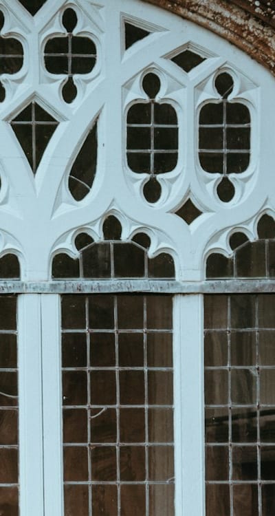 A close-up of vibrant Swiss chard leaves.