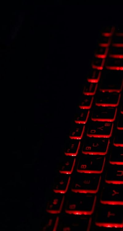 Healthy Swiss chard plants being watered and fertilized.