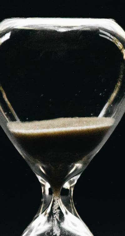 Plant/Fruit/Flower/Vegetable: Beans