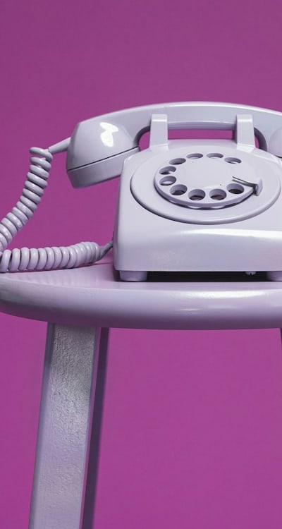 Plant, fruit, flower, or vegetable: Fruits