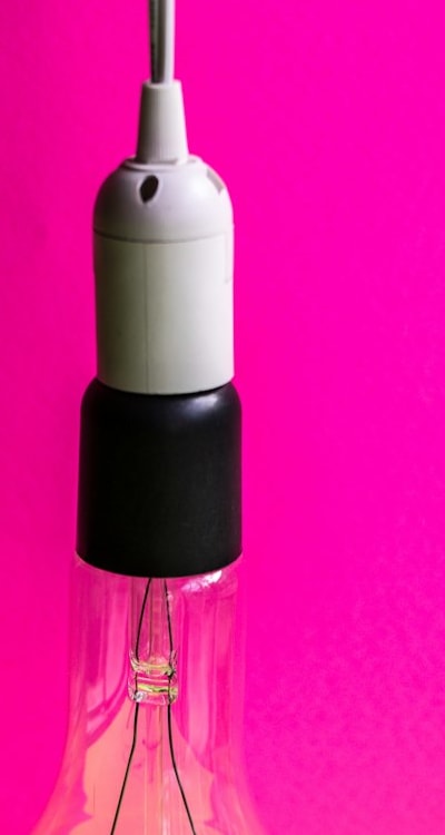 Plant, fruit, flower, or vegetable: Perennial Flowers